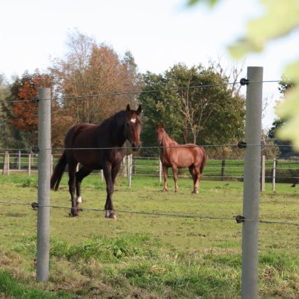 60mm Plastic Round Post with Spike - Grey 60mm Plastic Round Post with Spike - Grey