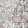 BM Architectural Recycled Ground Reinforcement Grid