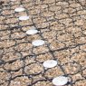BM Architectural Recycled Ground Reinforcement Grid