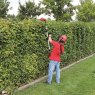 Einhell Einhell - GE-HC 18 Li T-Solo High Trimmer & Pruner 18V Bare Unit