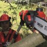 Einhell Einhell - GE-HC 18 Li T-Solo High Trimmer & Pruner 18V Bare Unit