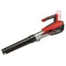 Einhell Einhell - GP-LB 18/200 Li E-Solo Power X-Change Leaf Blower 18V Bare Unit